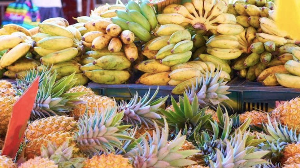 Marché des Camélias