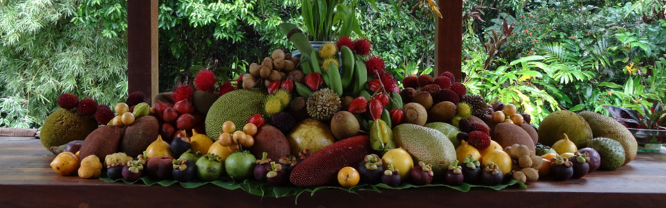 Latitude Fruitière