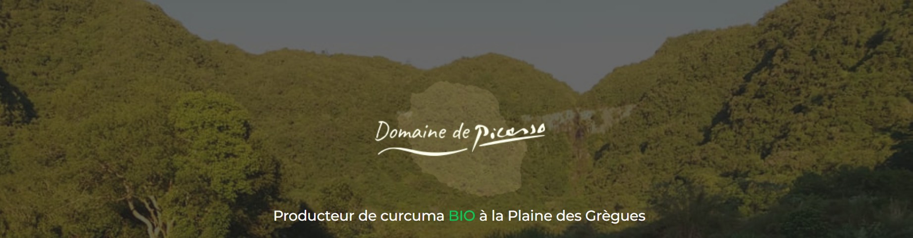 Domaine de Picasso