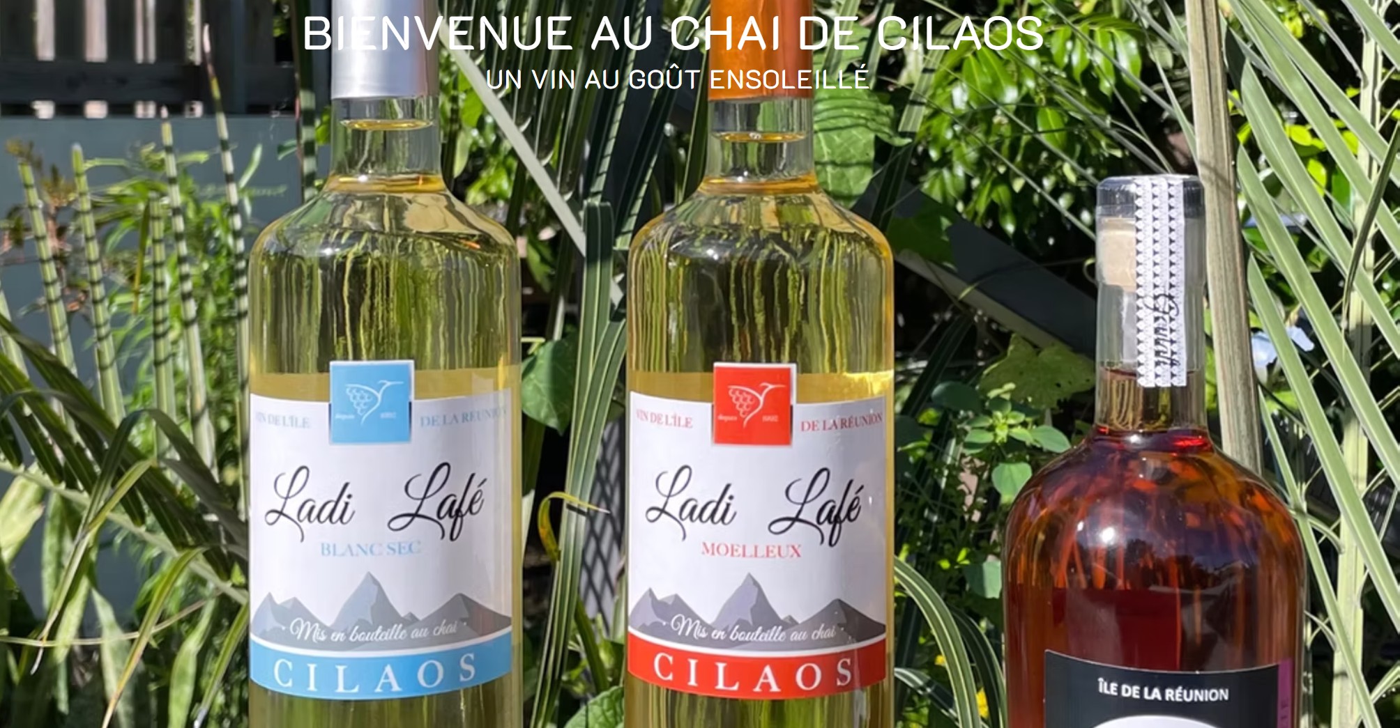 Chai De Cilaos