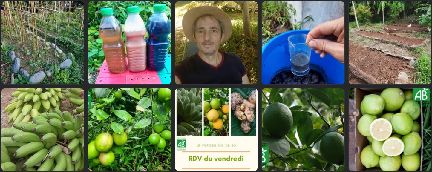 Le verger bio de Jo