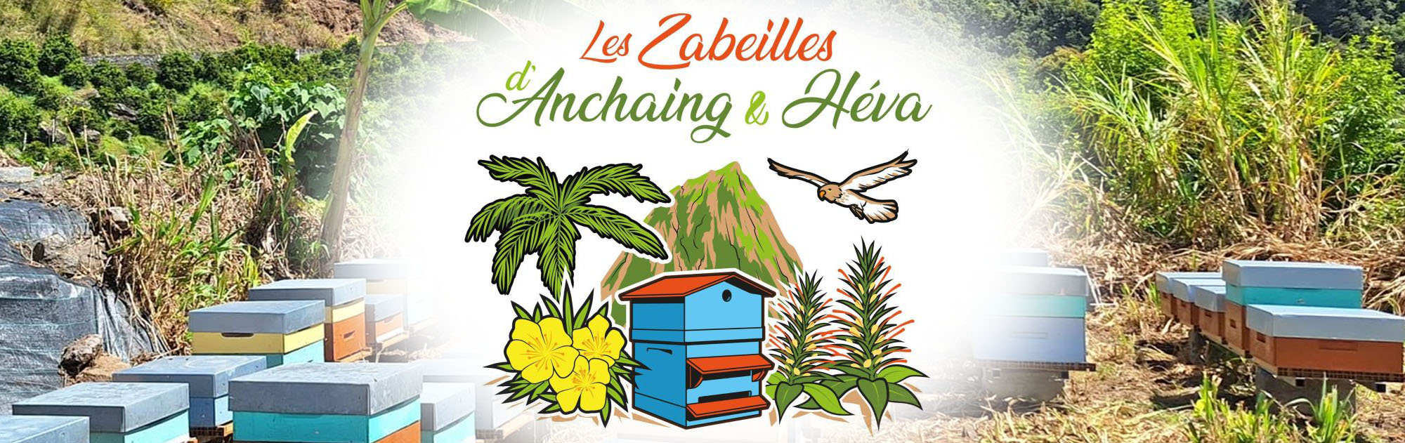 Les Zabeilles d'Anchaing & Héva