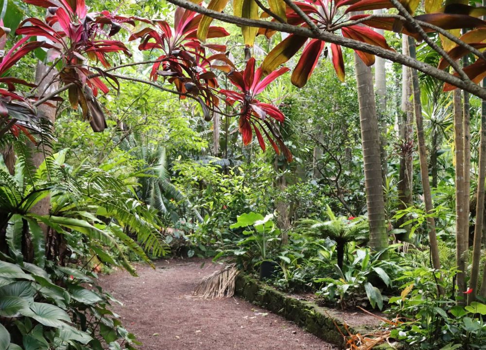 Jardin des Parfums et des Épices