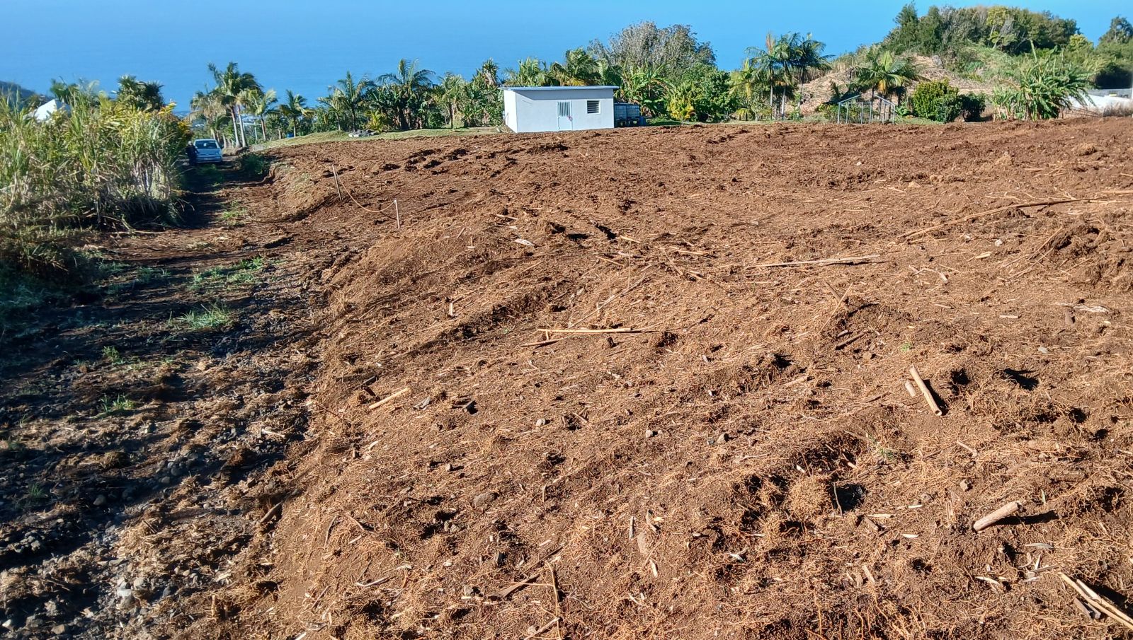 Loue terrain agricole