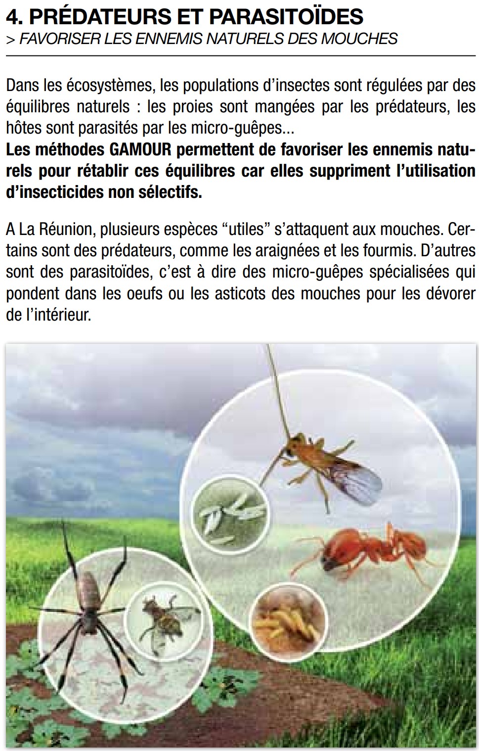 Biocontrôle : les solutions homologuées pour protéger vos cultures autrement 2