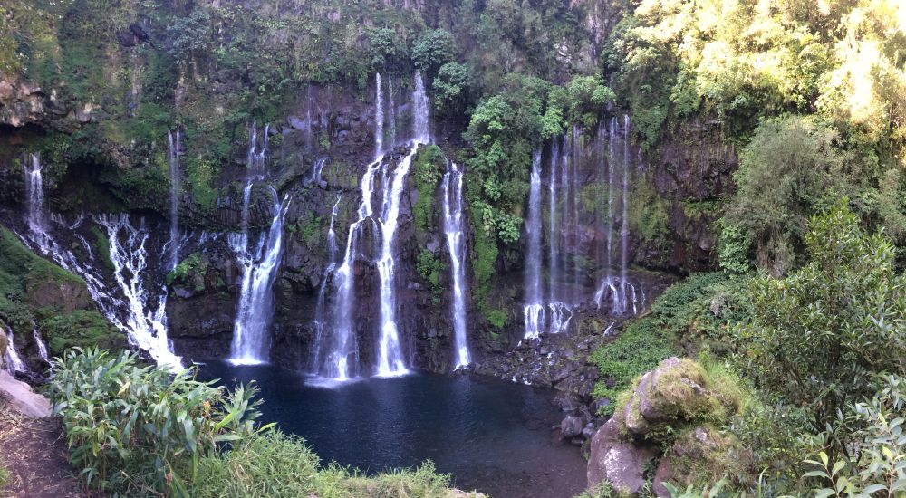 Ressource en eau et agriculture à la Réunion : comprendre les besoins, économiser l'eau