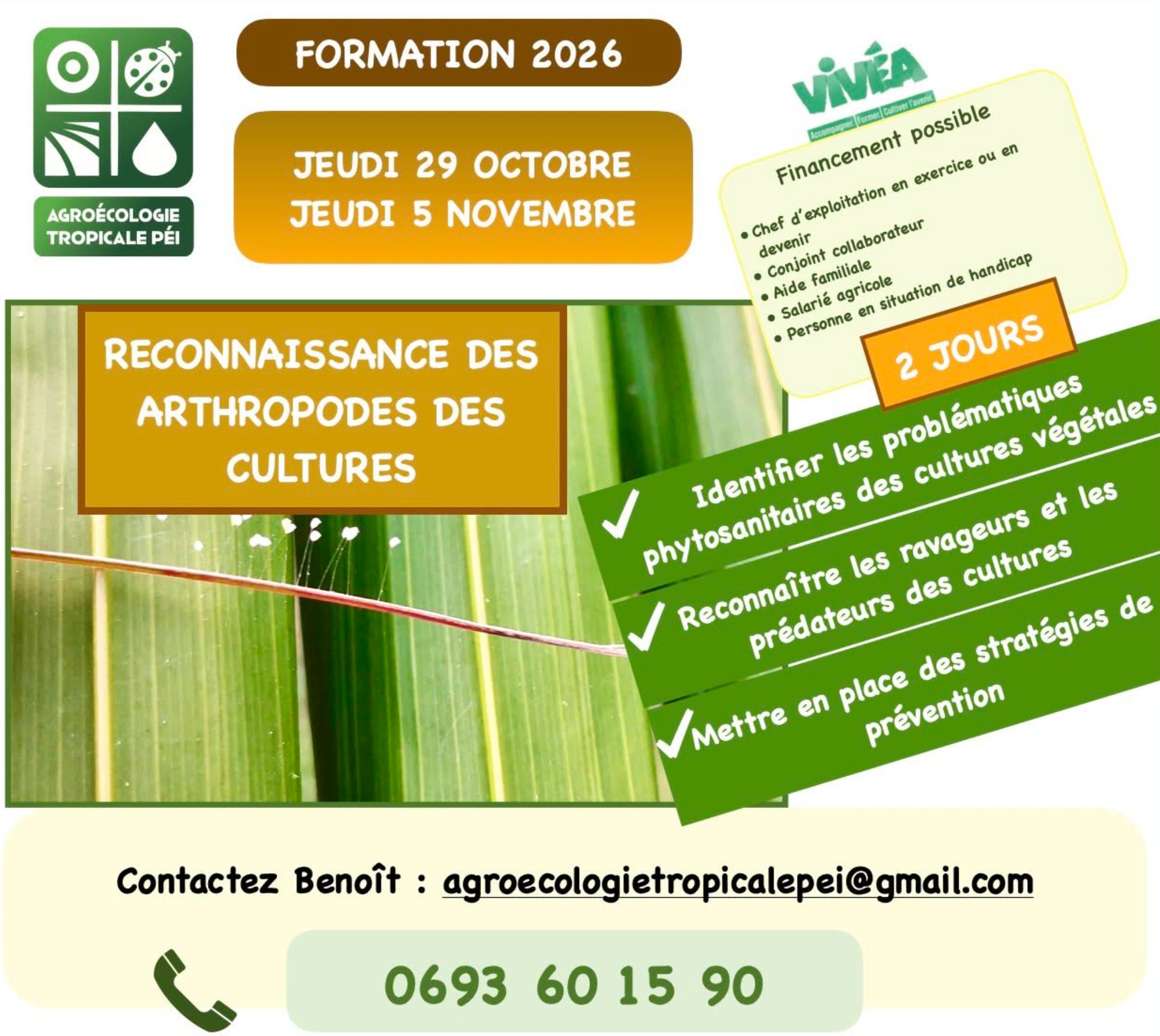 Formation "Reconnaissance des arthropodes des cultures" — 2 jours